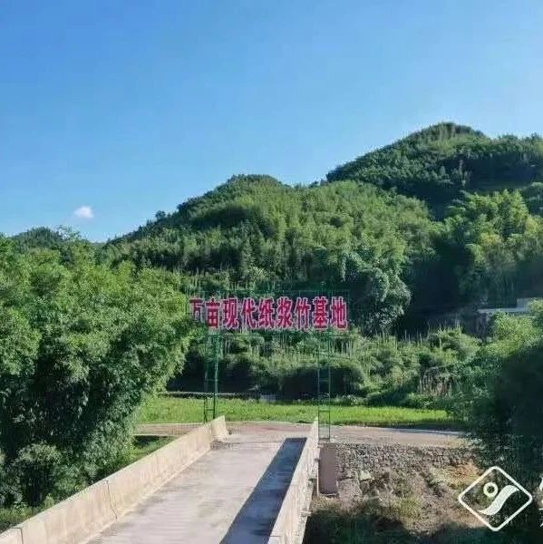 山鷹吉特利竹漿模塑項(xiàng)目進(jìn)展順利，投資額增至8.5億