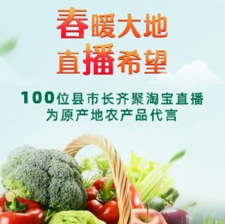ECPAKLOG啟迪俱樂部 | 報告解析：縣長們直播帶貨，效果怎么樣？