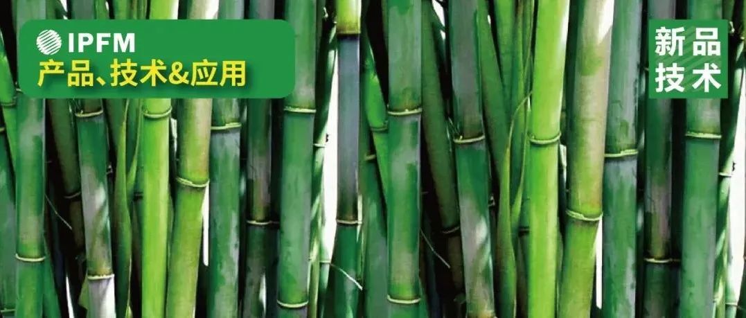 竹子高得率漿發(fā)展前景