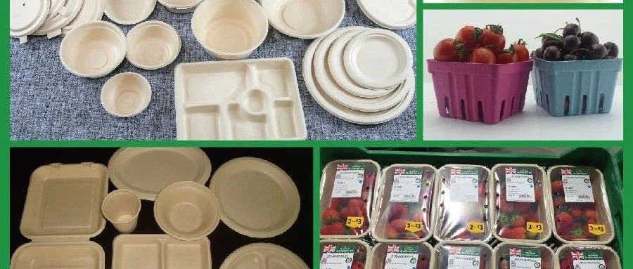 本年度紙漿模塑餐飲食品包裝大集結(jié) 2000款產(chǎn)品已就位IPFM   8月12-14日 上海見