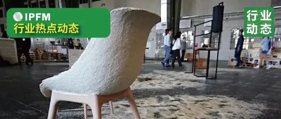 植物纖維模塑家居用品案例欣賞