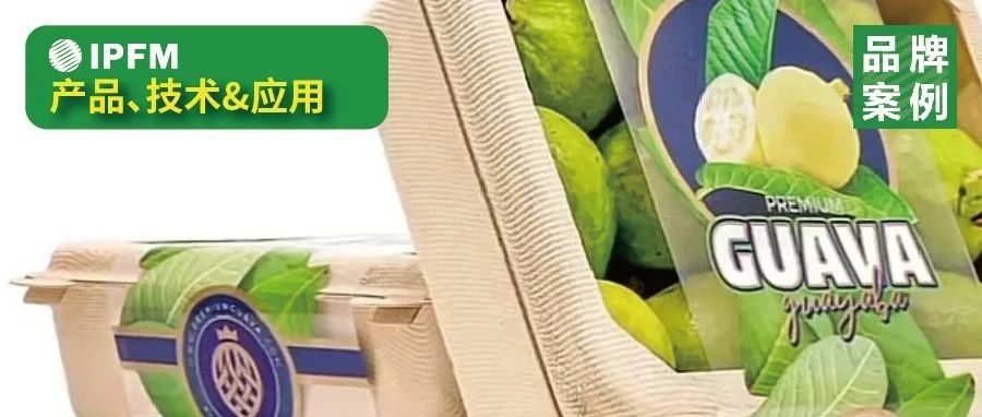千億水果電商市場亟待包裝創(chuàng)新