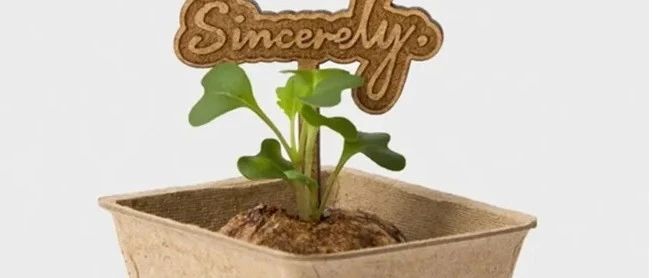 Seed-Potkage|種植包裝合一，打造環(huán)保創(chuàng)意園藝風(fēng)