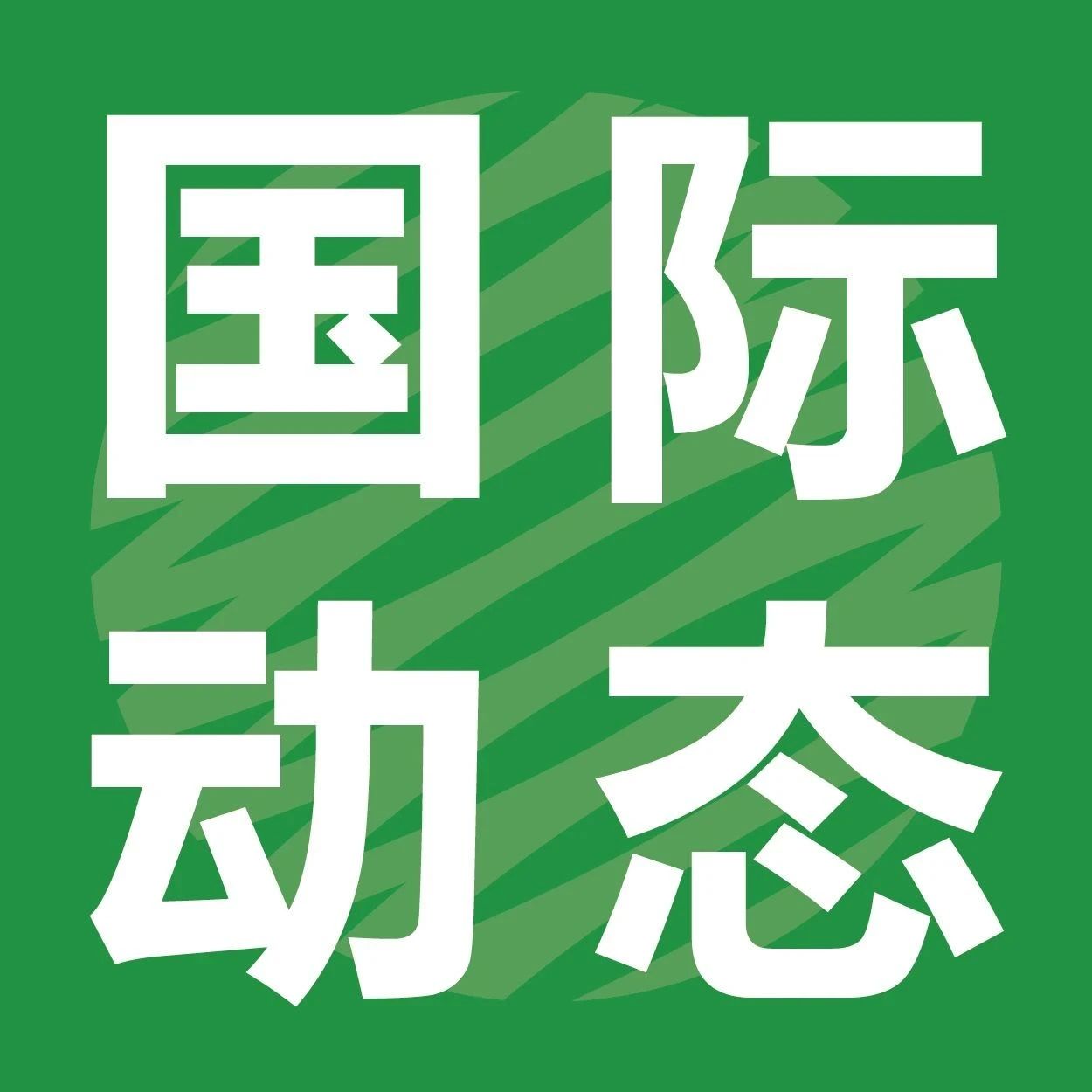 紙漿模塑在國外到底有多火