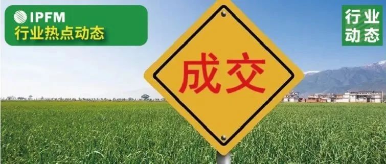 再拍2.52萬平方米國有建設(shè)用地，大勝達(dá)加碼紙漿模塑項(xiàng)目