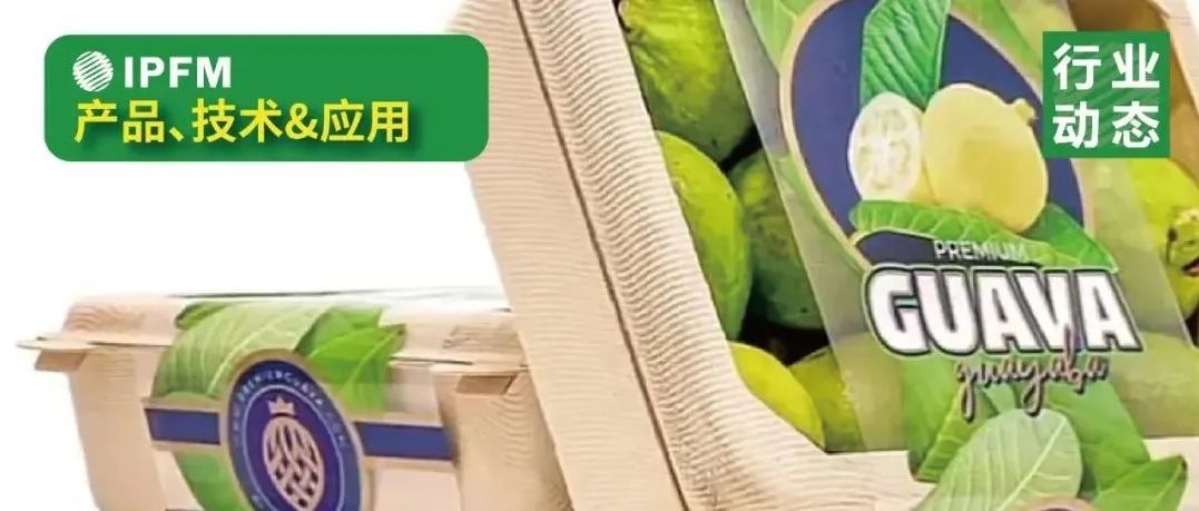 萬億鮮果市場，紙漿模塑包裝大有可為！
