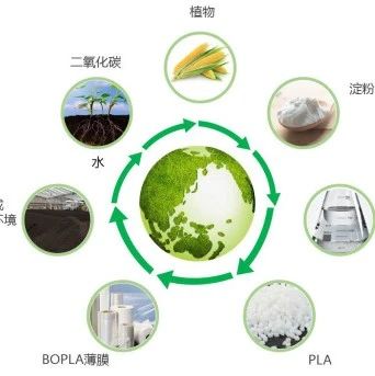 國(guó)內(nèi)首家！廈門長(zhǎng)塑率先量產(chǎn)生物基膜材BOPLA！