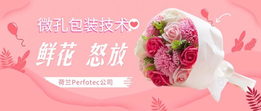 丹普客——【視頻】荷蘭Perfotec鮮花無水保鮮生命線