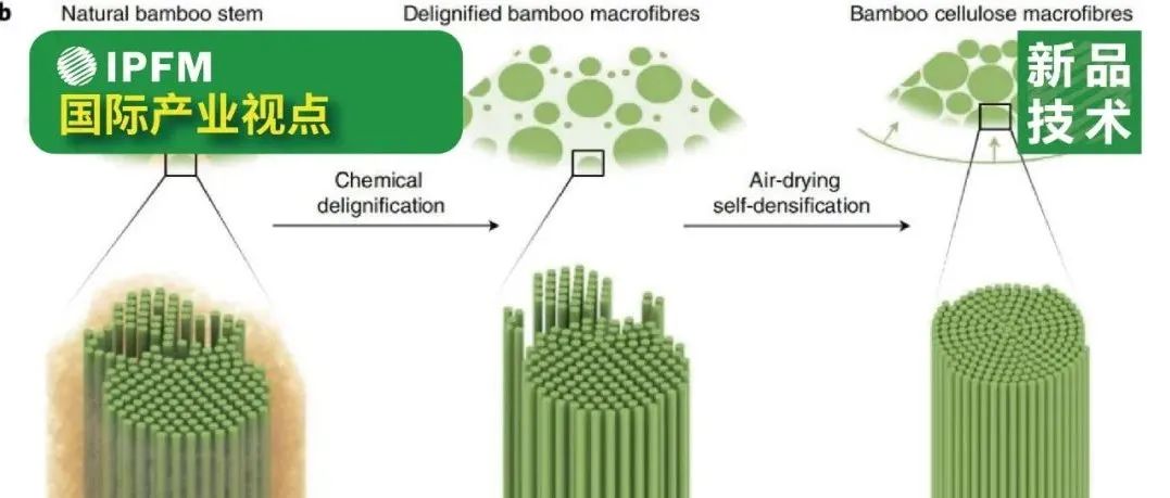 Nature sustainability：從天然竹子中提取的可持續(xù)高強度大纖維