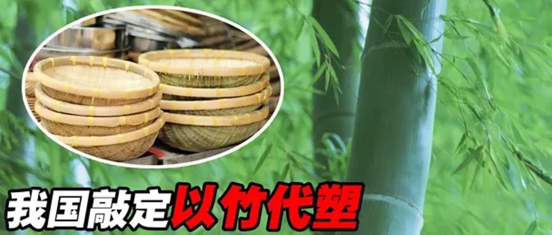 明年，“以竹代塑”產(chǎn)業(yè)體系將初步建立，紙塑產(chǎn)業(yè)迎來(lái)哪些發(fā)展？