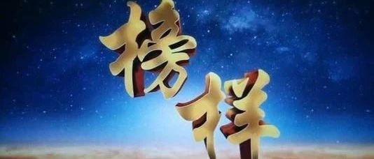 尋找2020年的先鋒榜樣！——第四屆中國電子商務(wù)包裝先鋒榜樣大獎?wù)骷ǖ勒介_啟