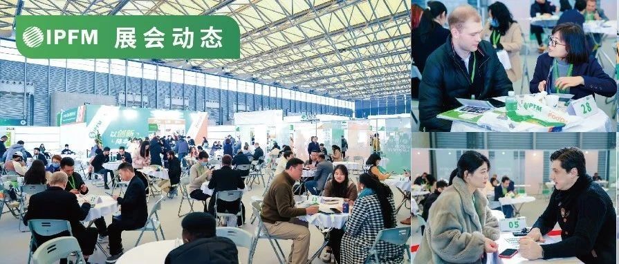 IPFM2024 | 專業(yè)紙漿模塑一站式無(wú)憂直采平臺(tái)，全球觀眾買家共同的選擇