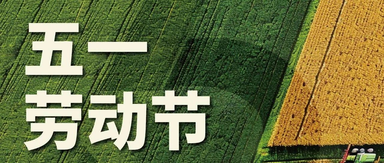 IPFM致敬勞動者，五一勞動節(jié)快樂