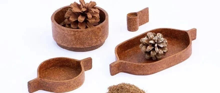 印度松針植物纖維解決方案Cheer Project|就地取材，成本低廉