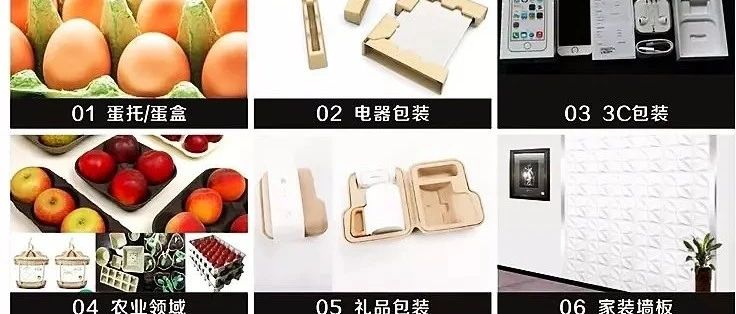 植物纖維模塑使用案例、應(yīng)用場(chǎng)景全集