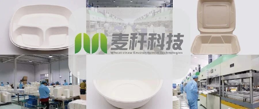 麥稈科技約您IPFM現(xiàn)場見：舒適的生活，我們?yōu)槟鷦?chuàng)造