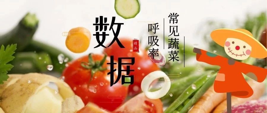 丹普客——常見(jiàn)蔬菜呼吸率
