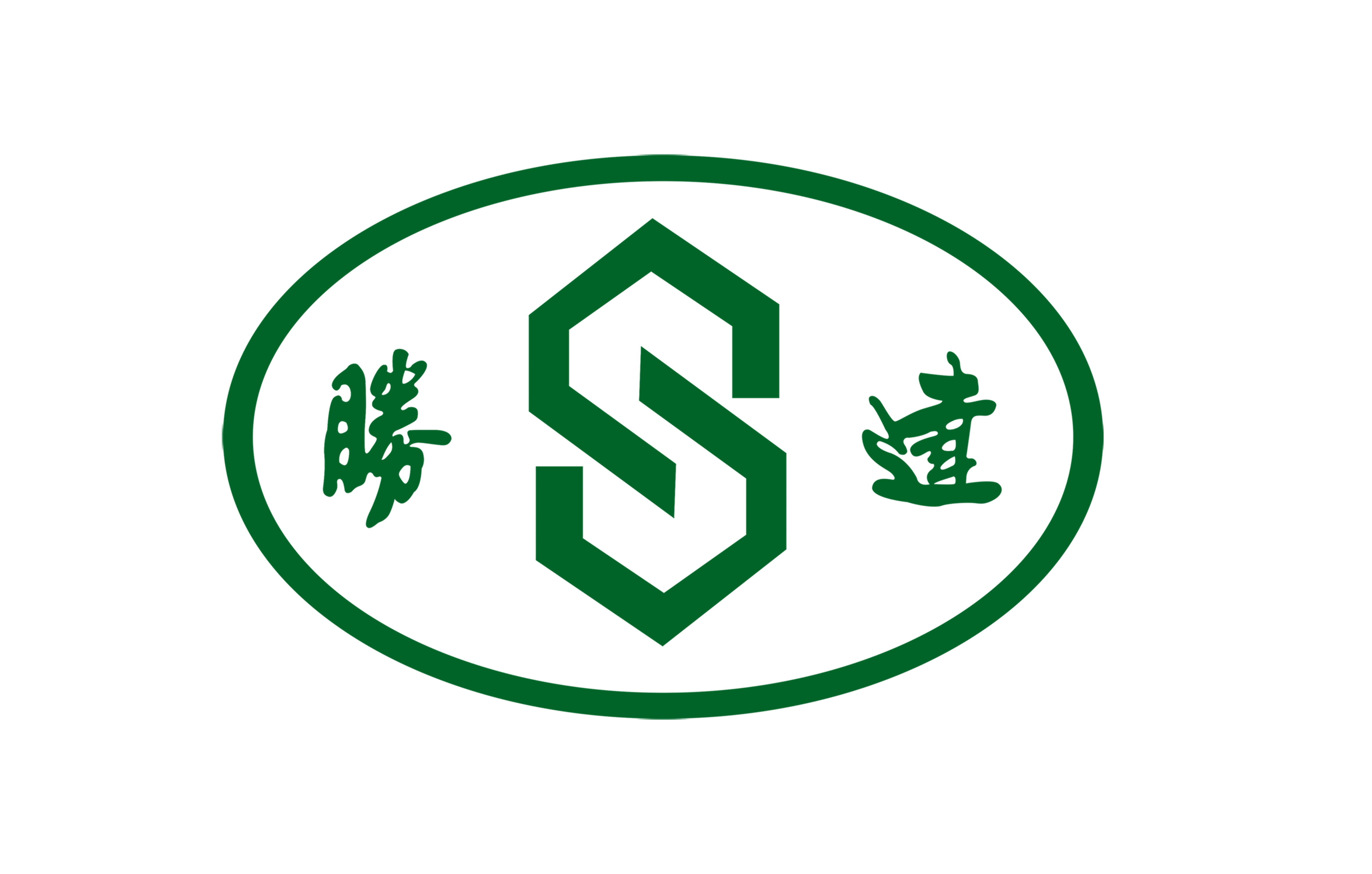 浙江大勝達(dá)包裝股份有限公司