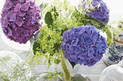 現(xiàn)代包裝技術(shù)在鮮花保鮮中的應用